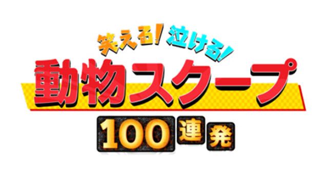 動物スクープ１００連発